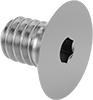 Flat Head Screws