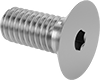 Flat Head Screws