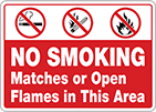 Image of Product. Front orientation. Signs. Smoking Control Signs, No Smoking Matches or Open Flames in This Area with No Smoking Symbol (English).