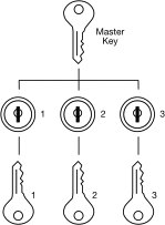 Spec Image