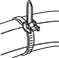 Spec Image